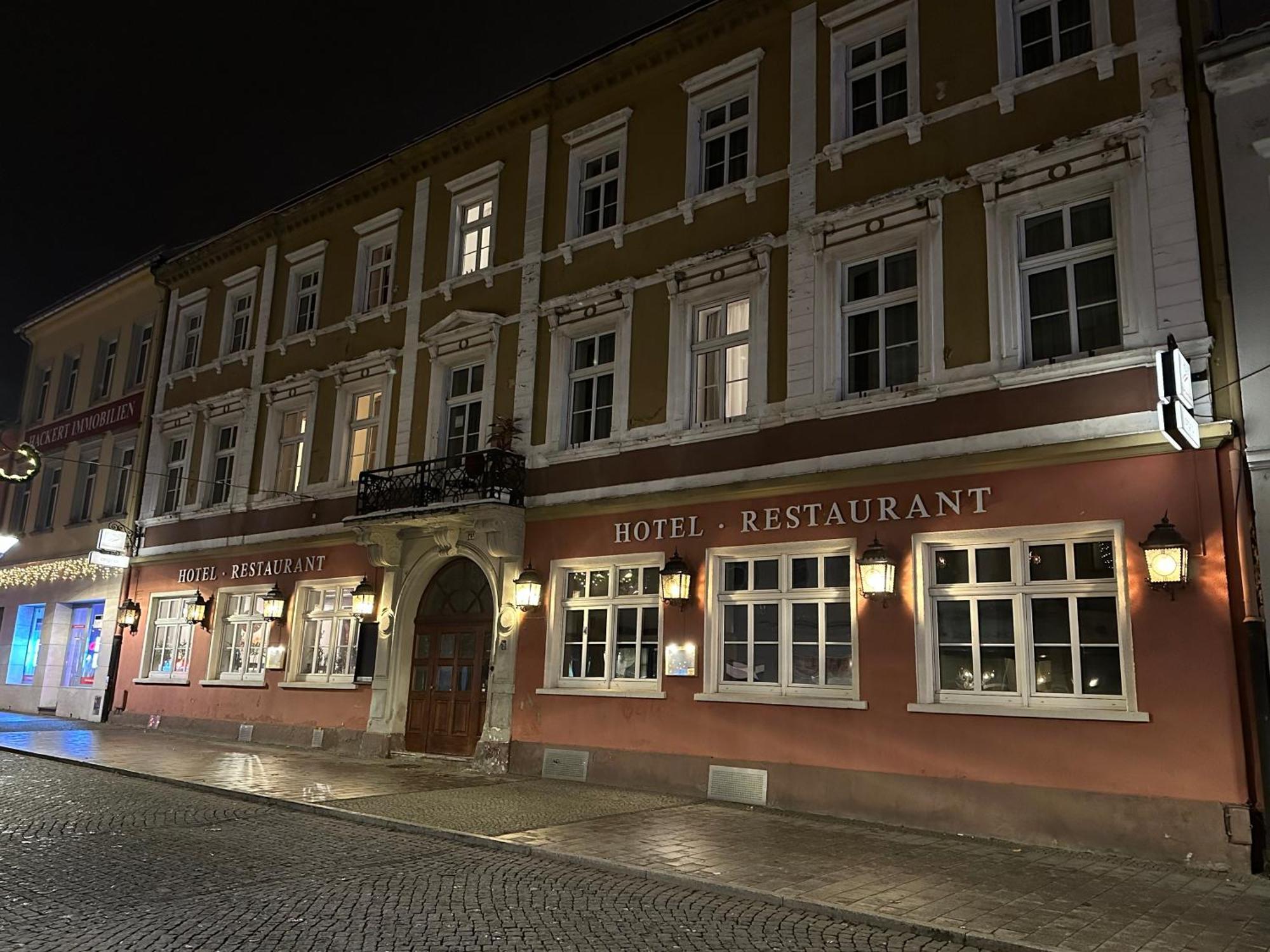 Hotel Sachsenhof Riesa Kültér fotó